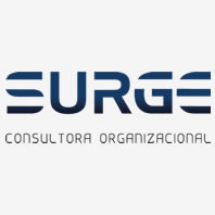 surgeconsultora